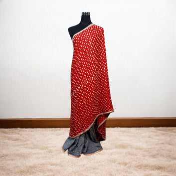 IkBandh - GRAY RED IKKAT BANDHANI SAREE