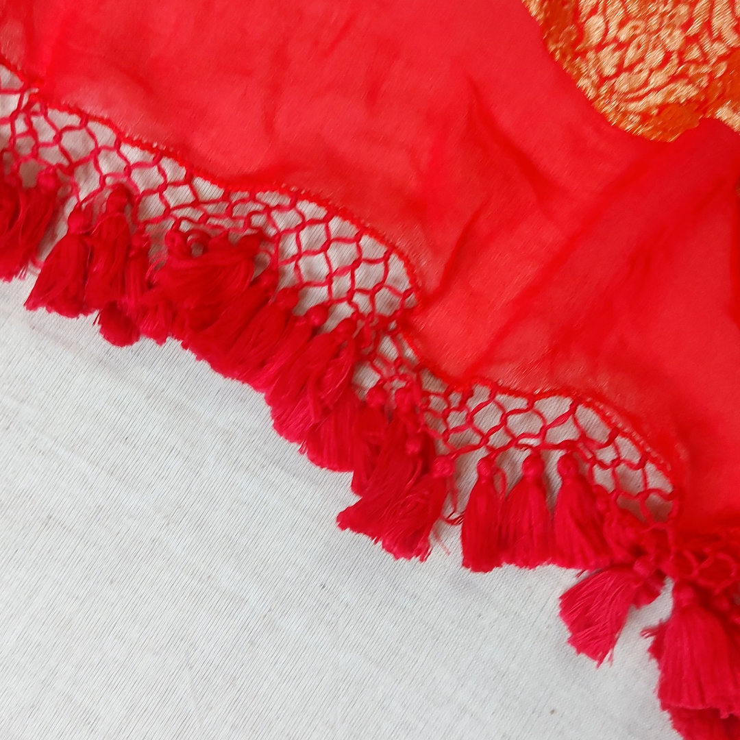 Banarasi Bandhani Dupatta with Muga Silk Top 