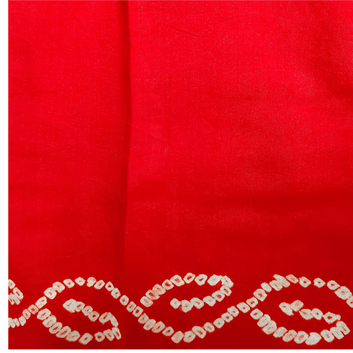 Rai Bandhej Gajji Silk Zari Pallu Red Saree